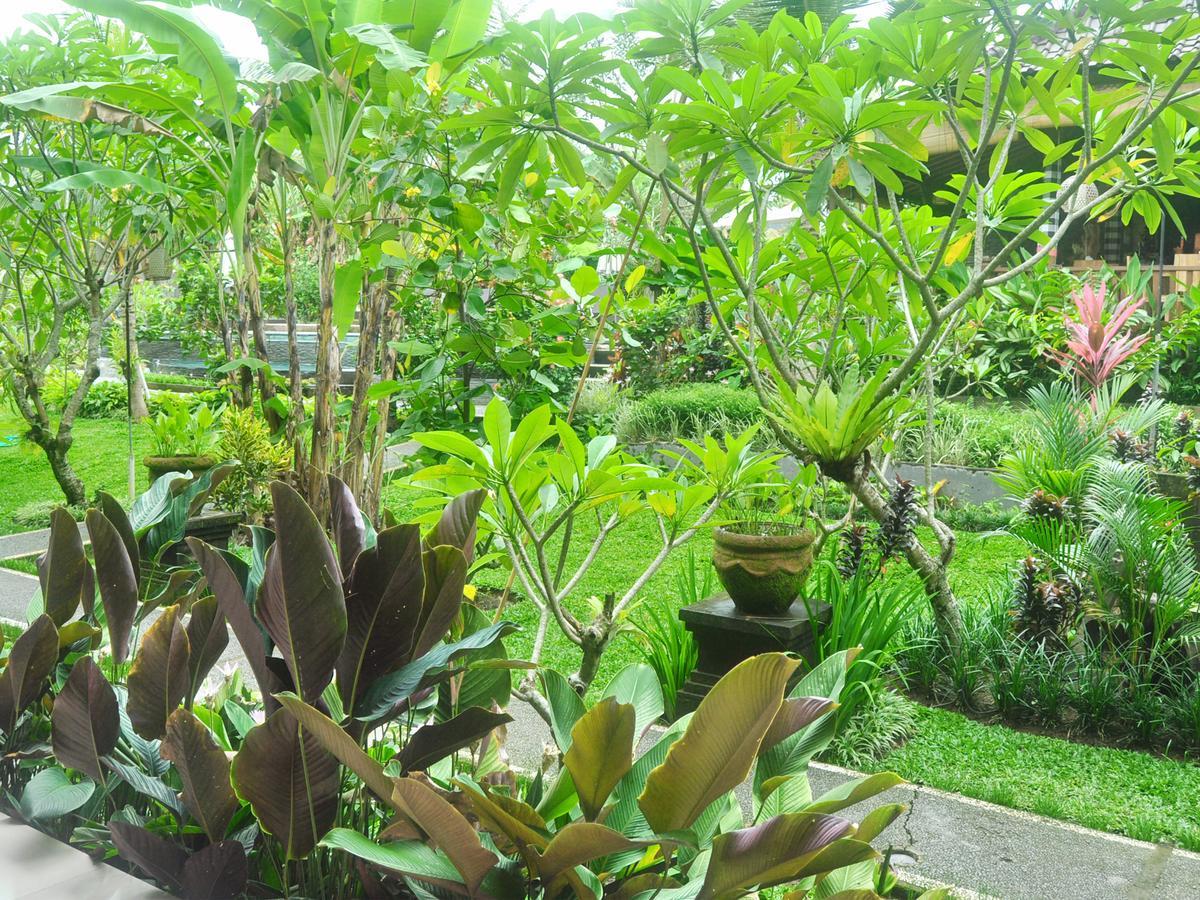 Bucu Privatunterkunft Ubud