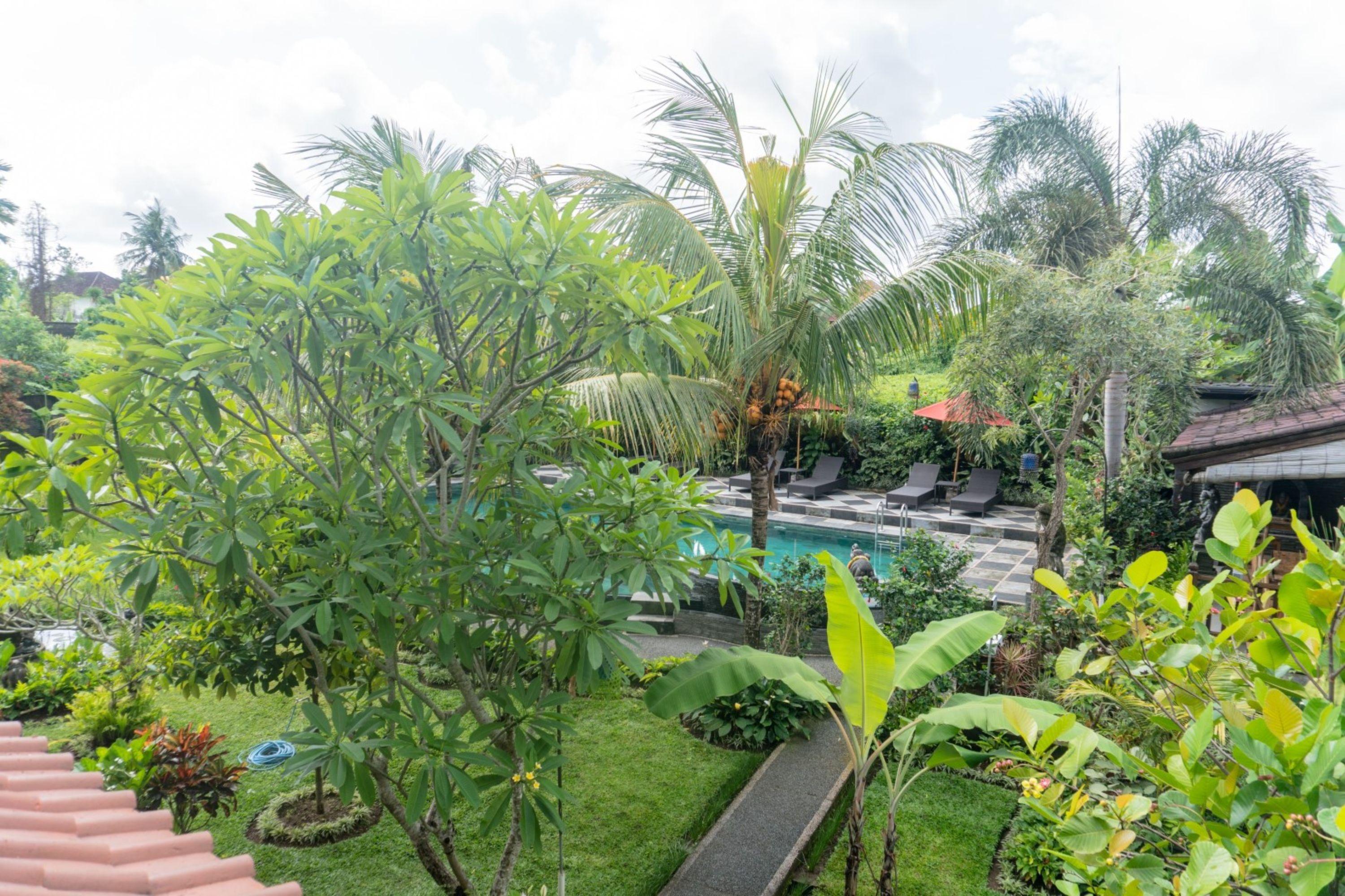 Accommodatie bij particulieren Bucu Ubud