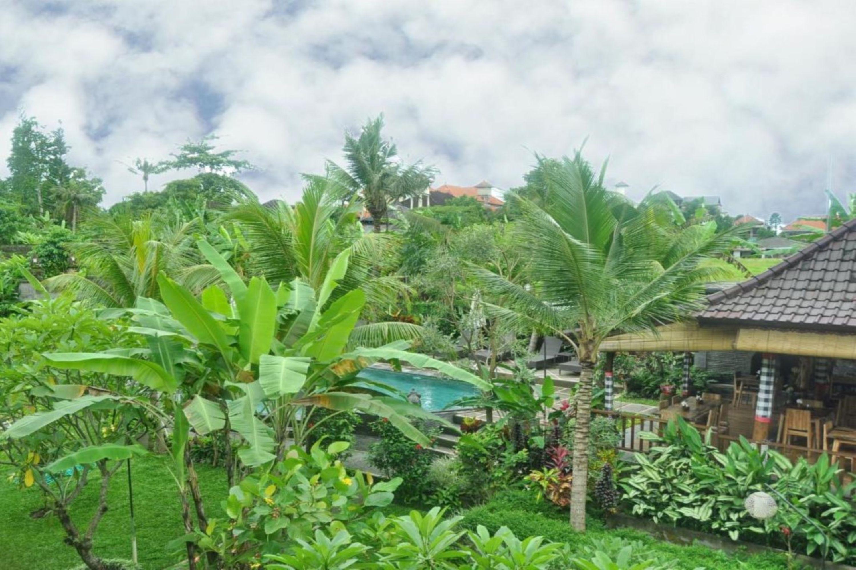 Bucu * Ubud